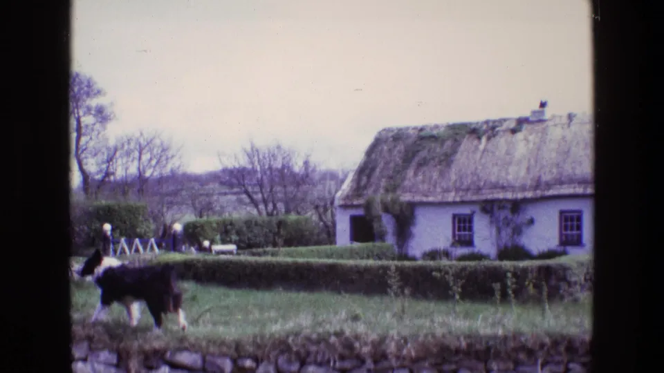 1969 Ireland 8mm frame of a black-and-white sheepdog crossing a rural garden foreground near a thatched cottage.