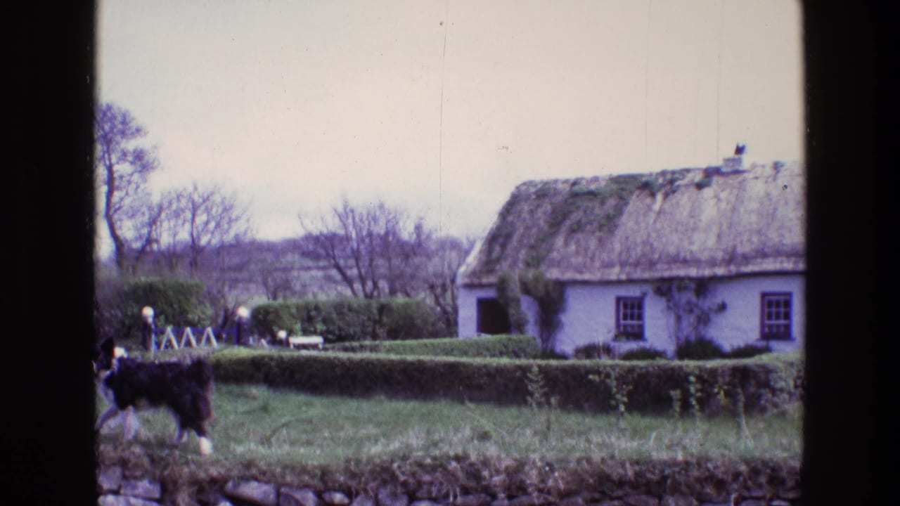 In 1969 Ireland footage, a dog crosses a grassy yard before a white thatched cottage, hedges, stone wall and small distant people.