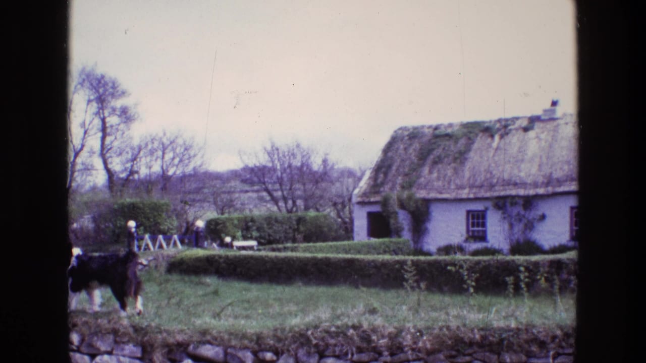 Dog continues left of frame near a stone wall with a thatched cottage and hedges behind.