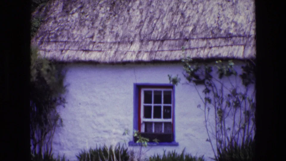 Tight 1969 Ireland frame of the cottage's blue-framed window, white wall, nearby plants, and thatched roof above.