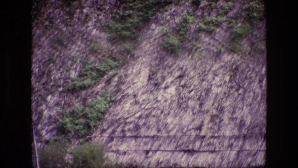 1969 Ireland 8mm frame focused on the plant-covered roof surface, with only a narrow lower edge of the building visible.