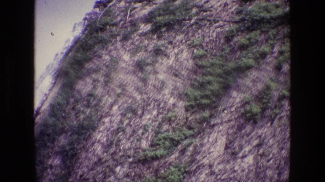 Close view of a rough hillside with low vegetation and dark film borders.