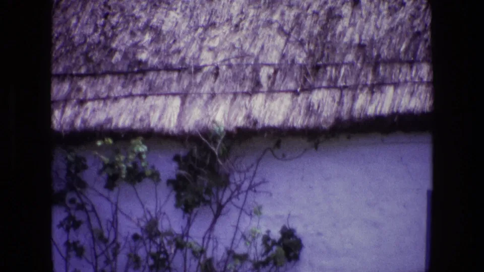 1969 Ireland 8mm frame showing ivy and thin vines climbing a white cottage wall under a thatched roof.