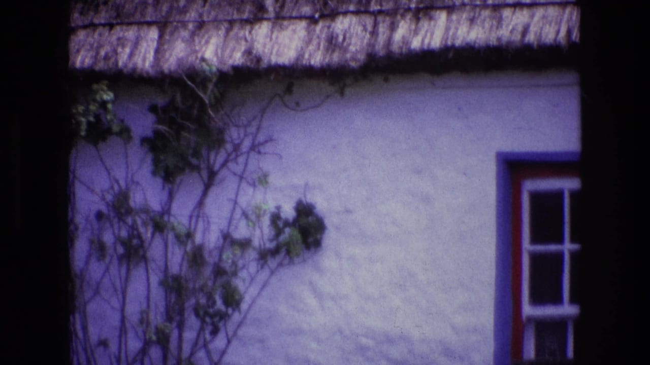 White cottage wall with thatched eaves, vines, and part of a painted window frame.
