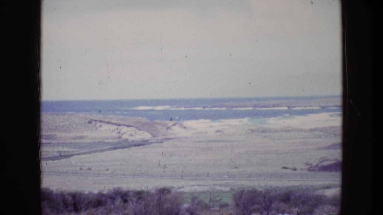 Elevated view over pale dunes and grassland toward the sea and distant shoreline.