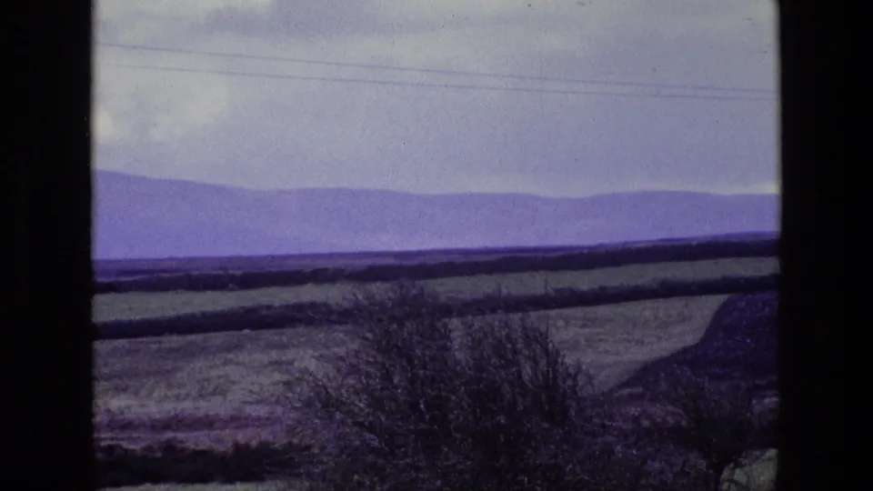 The Irish countryside appears in a wide 8mm view of fields, hedgerows, foreground shrubs, and distant hills under cloud cover.