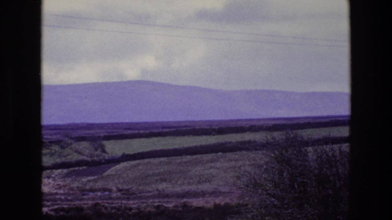 Rural Irish landscape on 8mm film, showing patchwork fields, hedgerows, distant purple mountains, clouds, and a dark foreground bush.