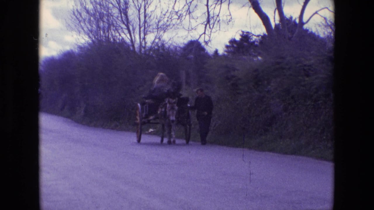 Donkey cart farther along the paved lane with hedges and bare trees behind it.