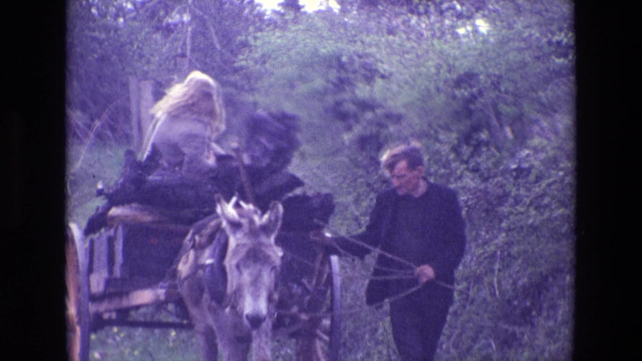1969 Ireland 8mm frame showing a man leading a donkey cart with a blonde woman seated in the wooden wagon on a tree-lined rural road.