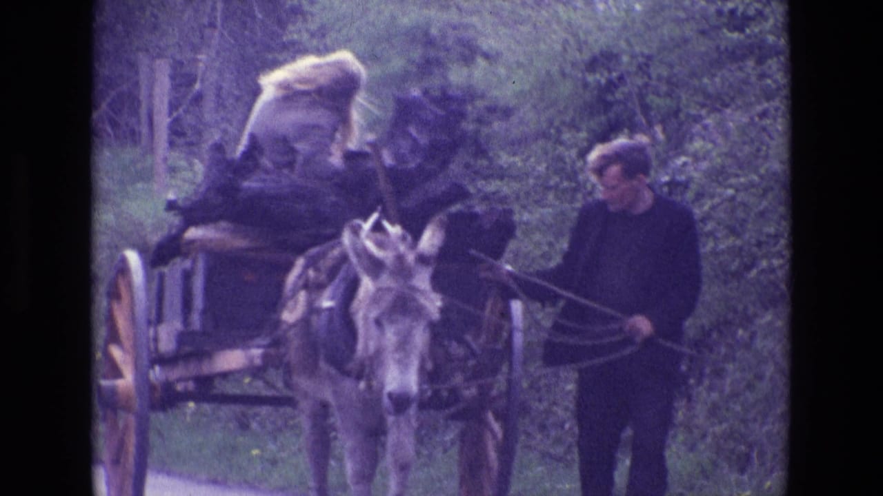 Donkey cart approaching with a seated woman and a man walking beside it.