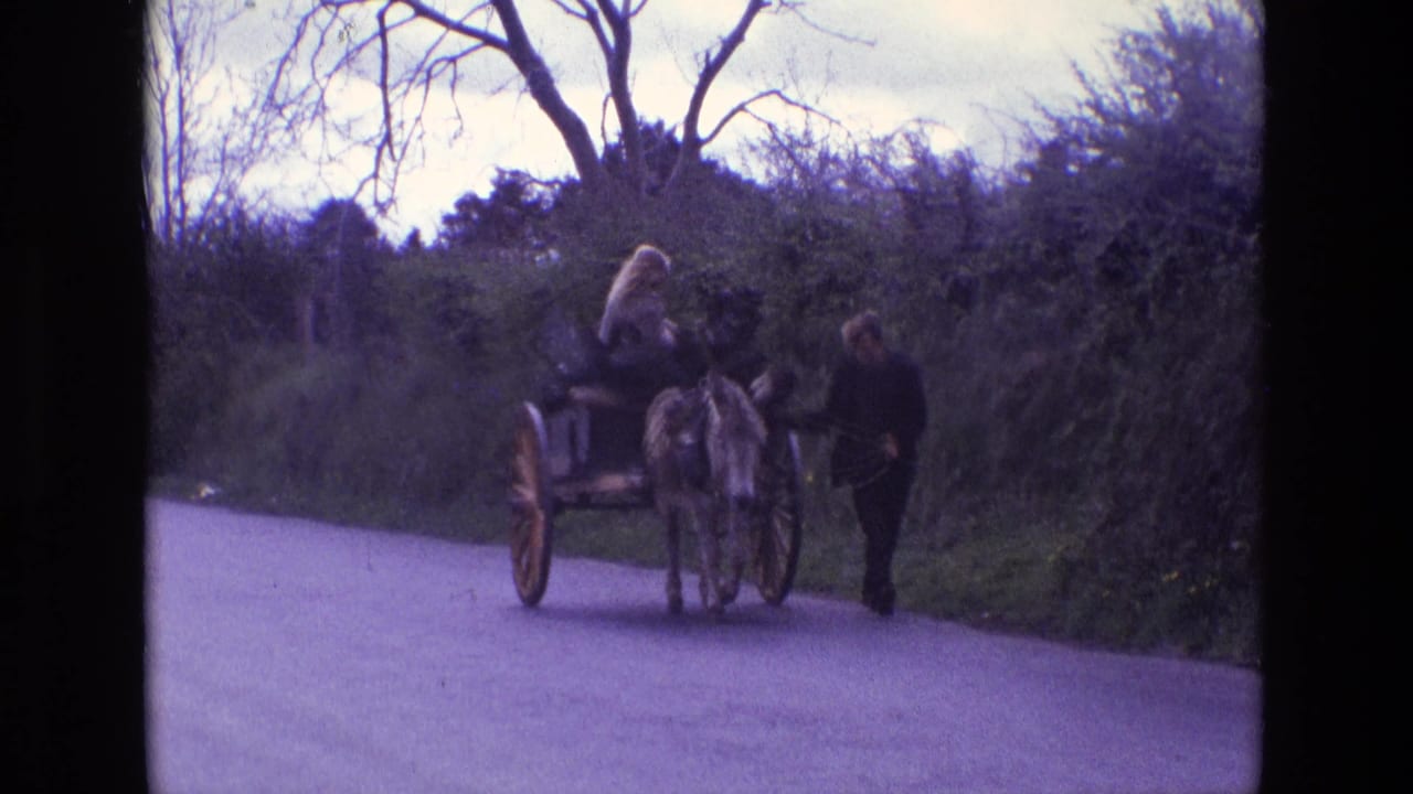 The cart continues along the lane as the man walks at the donkey's side.