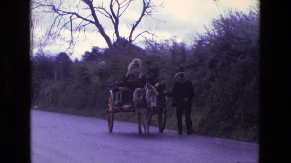 The cart and donkey come closer on the Ireland country road, with a passenger seated and the man guiding from the right side.