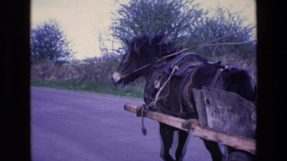 The horse-drawn cart passes the camera, showing the harness, wooden cart body, road, and hedgerows.