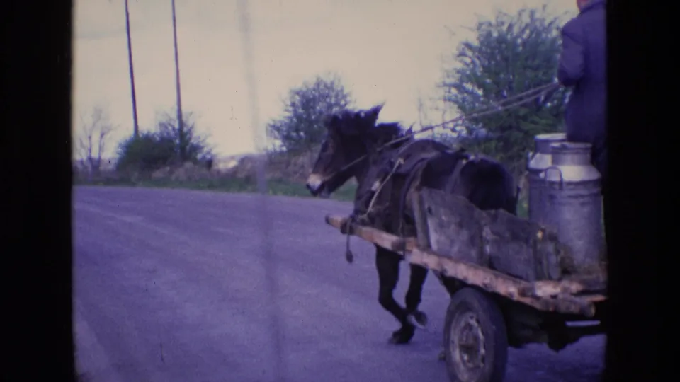 A horse pulls a wooden cart carrying metal milk cans, with an adult partly visible standing on the cart in rural Ireland, 1969.