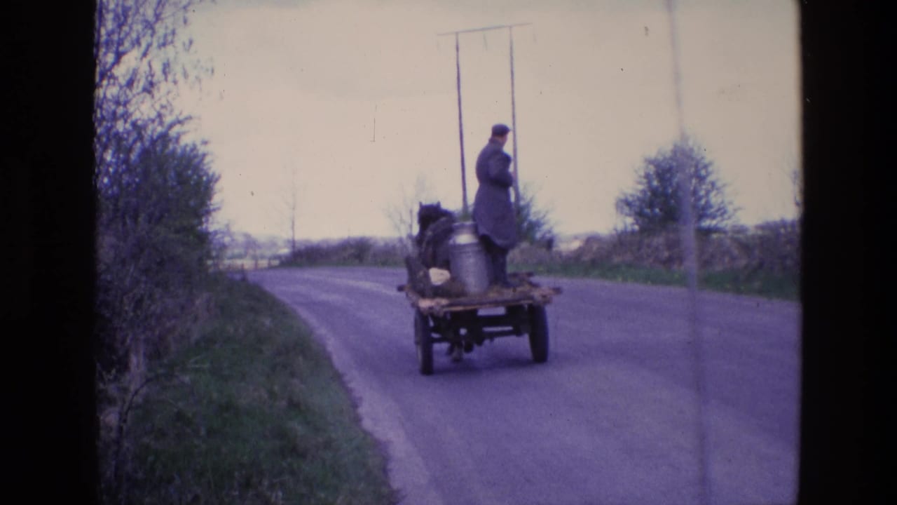 A man stands on a small horse-drawn farm wagon as it continues along a rural Irish lane, with hedges and utility poles in view.
