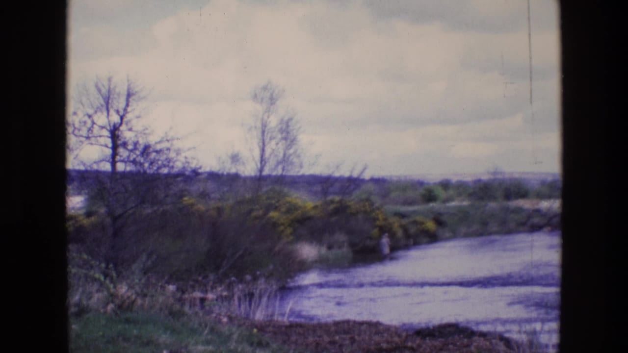 1969 Ireland 8mm frame of a rural riverbank with bare trees, yellow flowering shrubs, reeds, and soft faded color.
