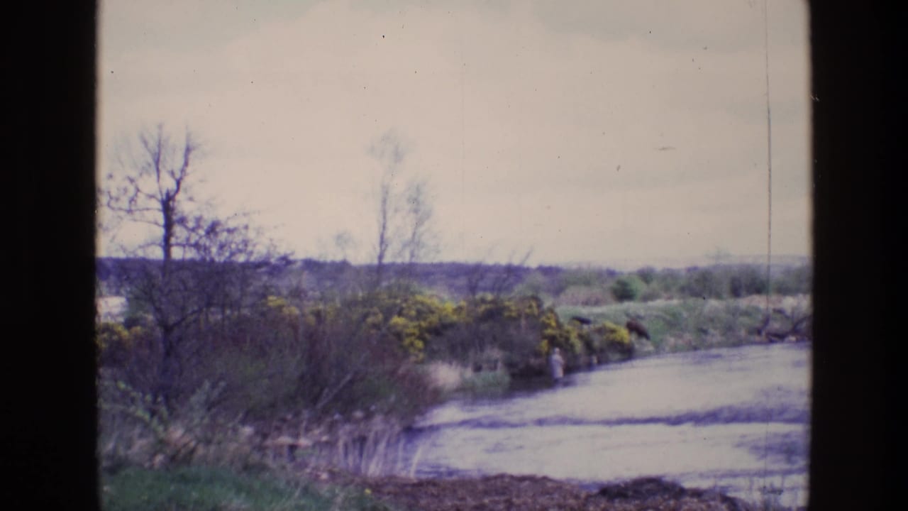 Wide waterway curving past shrubs and bare trees under an overcast sky.