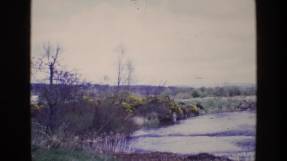 1969 Ireland 8mm frame showing a broad water edge, brushy bank, bare trees, and a small distant person near the shrubs.