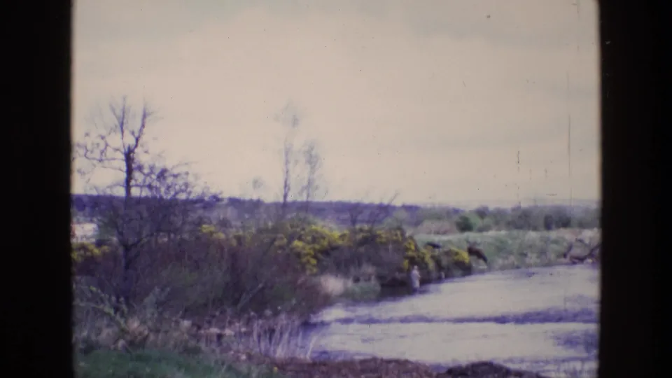 1969 Ireland home-movie frame showing a small river with bare trees, yellow gorse-like shrubs, rough grasses, and muted overcast light.