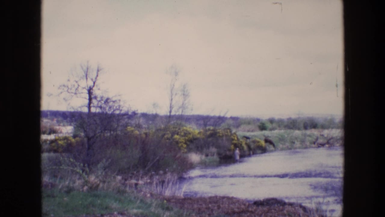 River bend with leafless trees, yellow shrubs, grass, and distant low fields beneath a pale sky.