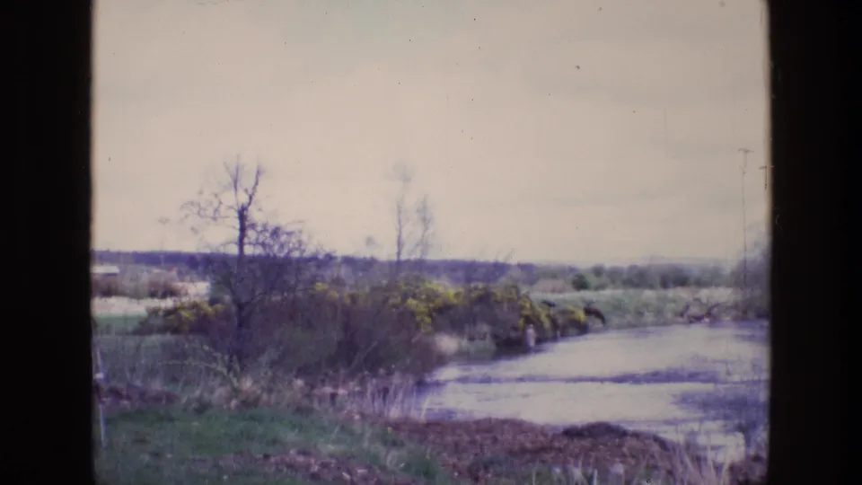 1969 Ireland countryside frame showing a low riverbank, bare trees, yellow gorse-like shrubs, green grass, and soft distant fields.