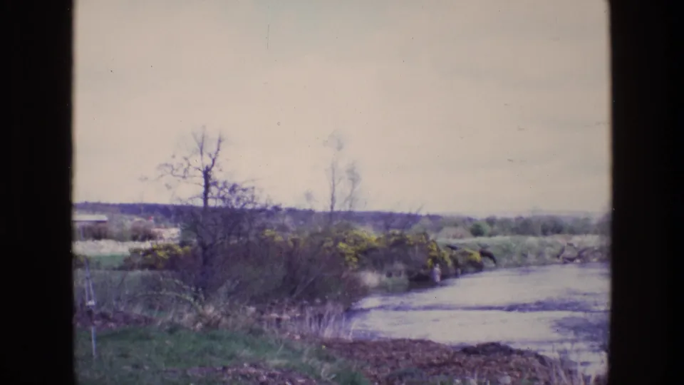 1969 Ireland home-movie frame of a quiet rural river bordered by bare trees, yellow shrubs, grasses, and muted winter or early spring light.