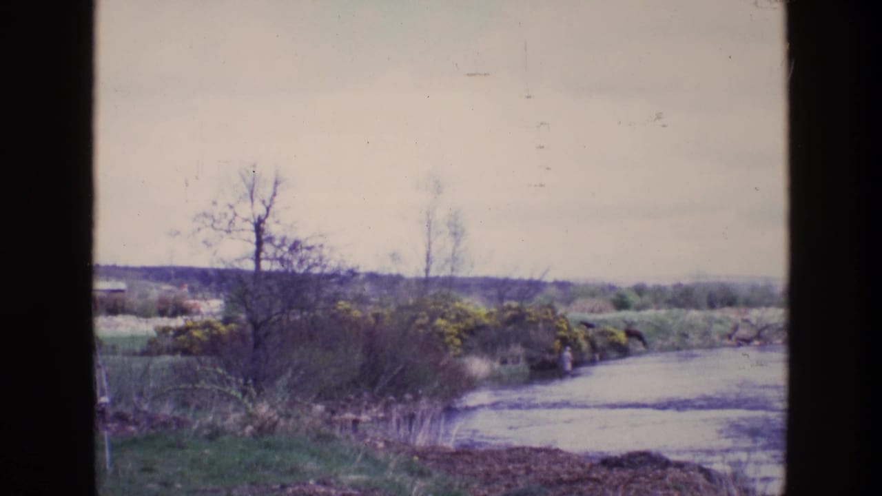 Shallow river bordered by shrubs, bare trees, and yellow flowering bushes under a cloudy sky.