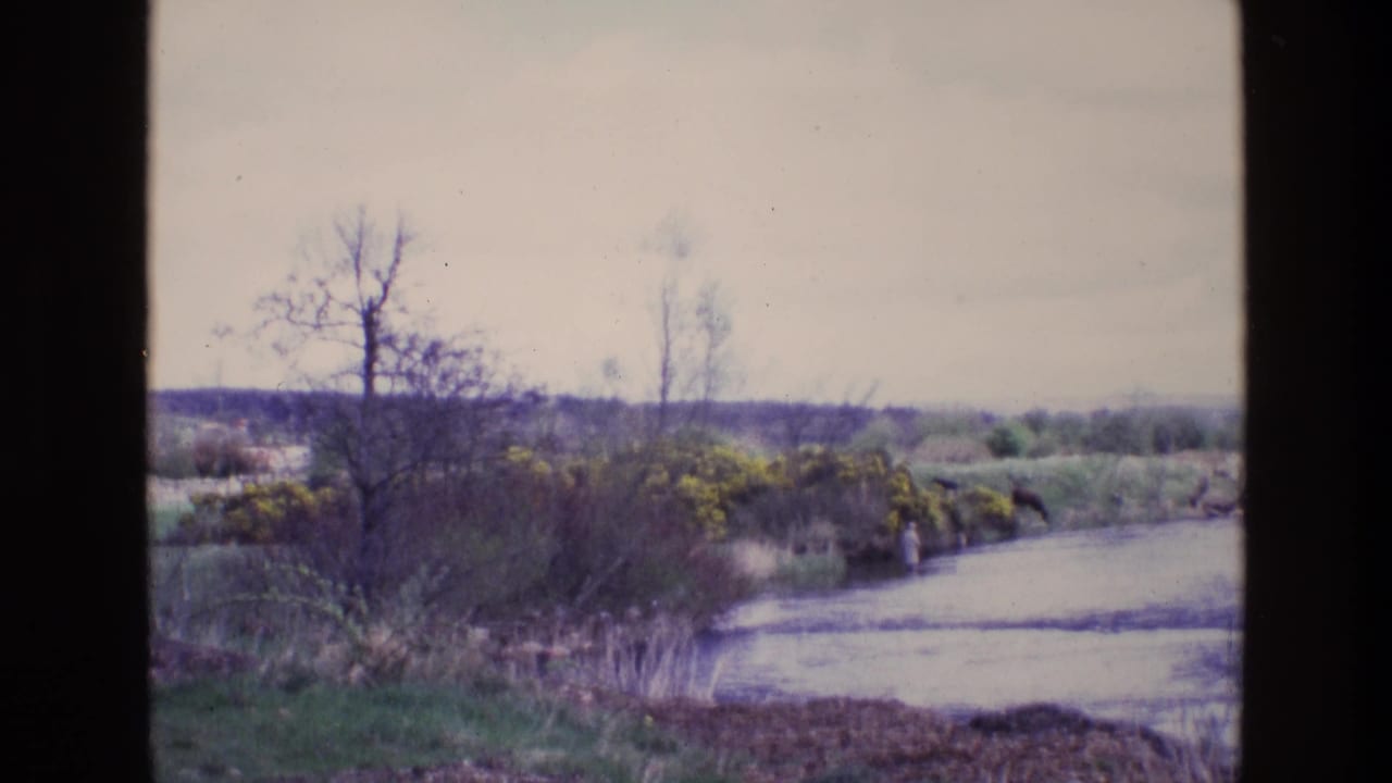 1969 Ireland 8mm frame of a rural riverbank with flowering shrubs, bare trees, open fields, and a distant person by the water.