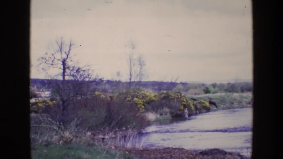 1969 Ireland 8mm frame showing a shallow rural river, sparse shrubs, bare trees, yellow flowering bushes, and muted open land.