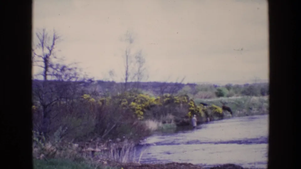 1969 Ireland 8mm frame with a shallow river, leafless trees, yellow riverbank blooms, distant fields, and a small human figure.