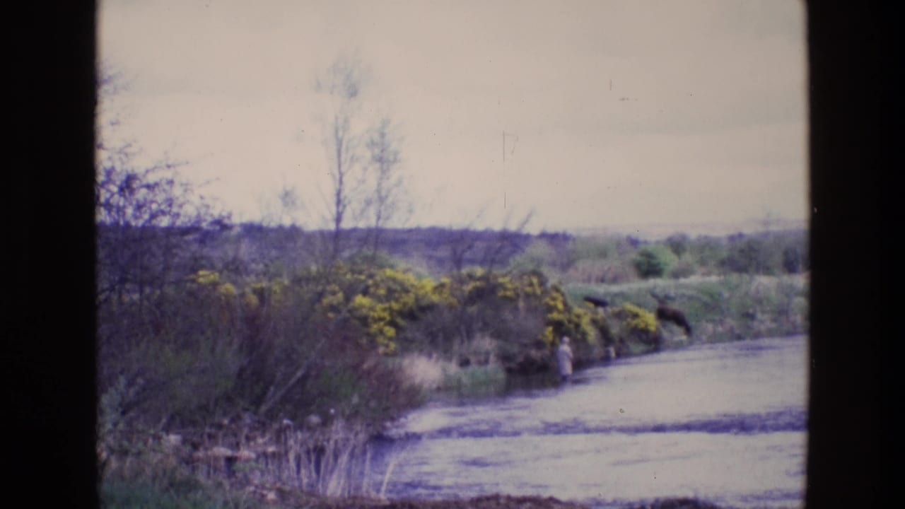1969 Ireland 8mm frame showing a distant person fishing in shallow river water with yellow bushes, bare trees, and horses on the grassy bank.