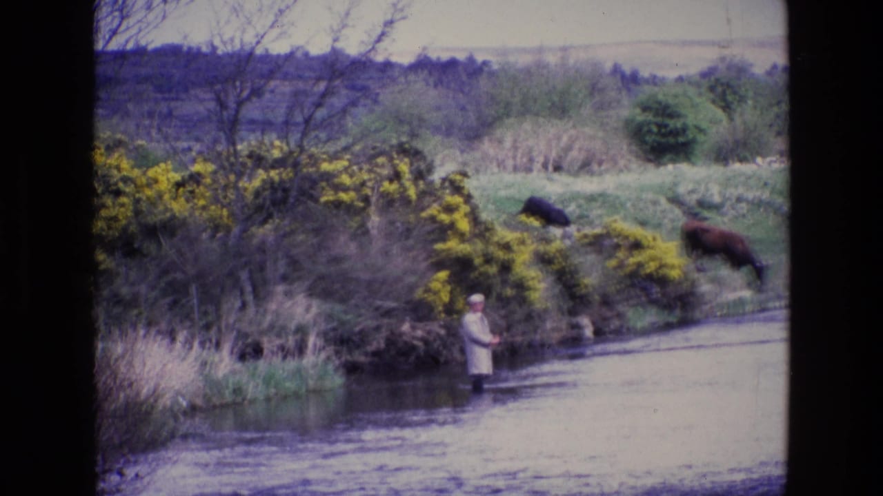 Fisherman stands waist-deep in the river with two cows on the slope above.