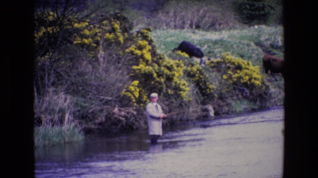 1969 Ireland 8mm frame showing a man fishing in a shallow river below yellow gorse and grazing cattle.