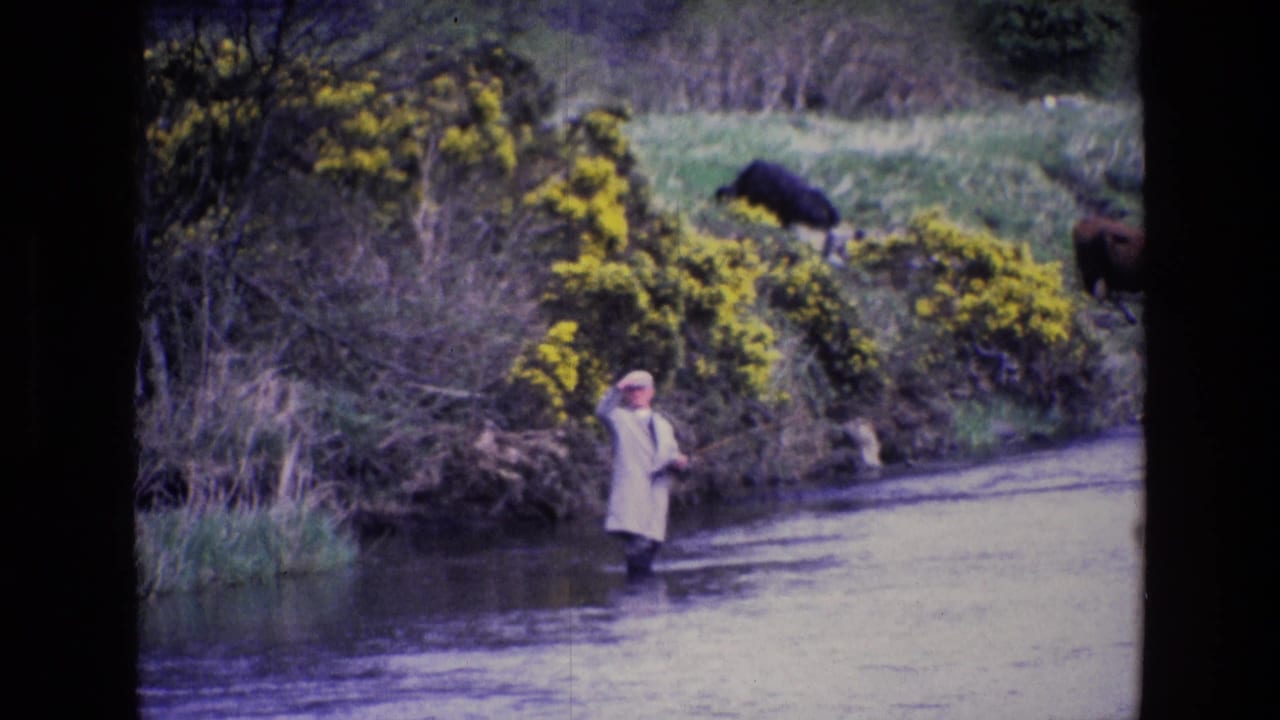 1969 Ireland home-movie frame with a fisherman in shallow water, yellow gorse, brush, and cattle on the bank.