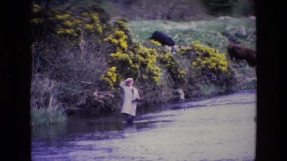 Soft 8mm frame from Ireland in 1969 showing a man fishing below a grassy bank with gorse and cattle.