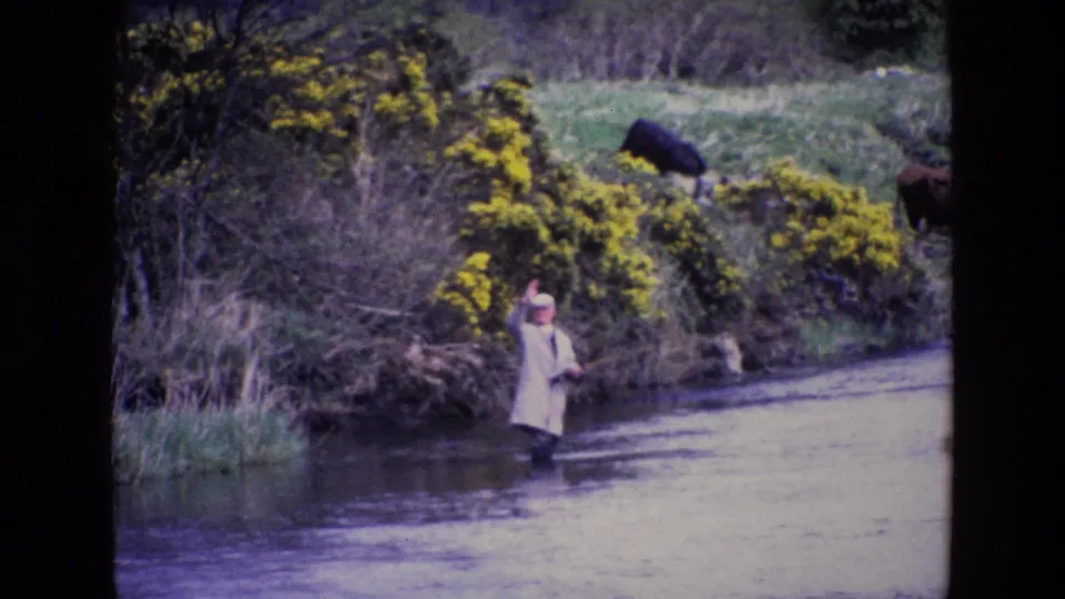 1969 Irish countryside frame with a lone fisherman in shallow water and cattle grazing above a gorse-covered bank.