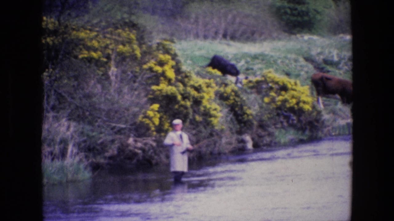 Man fly fishes in the river while dark cattle graze above the bank.