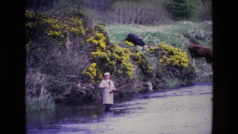 The Irish riverside scene shows a man in a pale coat casting or holding a rod with gorse and cattle behind him.