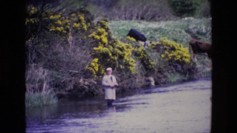 A 1969 rural Ireland frame shows the fisherman paused midstream, facing camera beneath a bank of gorse and grazing cattle.