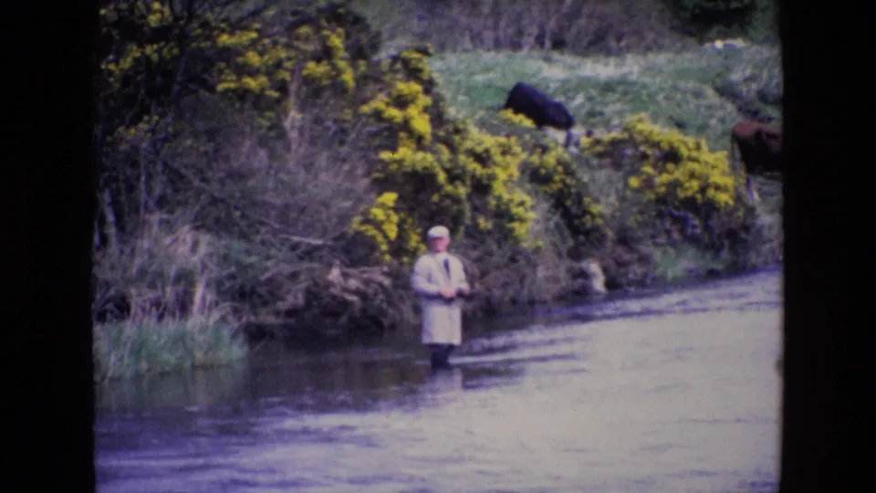 The final 8mm frame keeps the man centered in the river, with yellow gorse, brush, and grazing cattle in rural Ireland behind him.