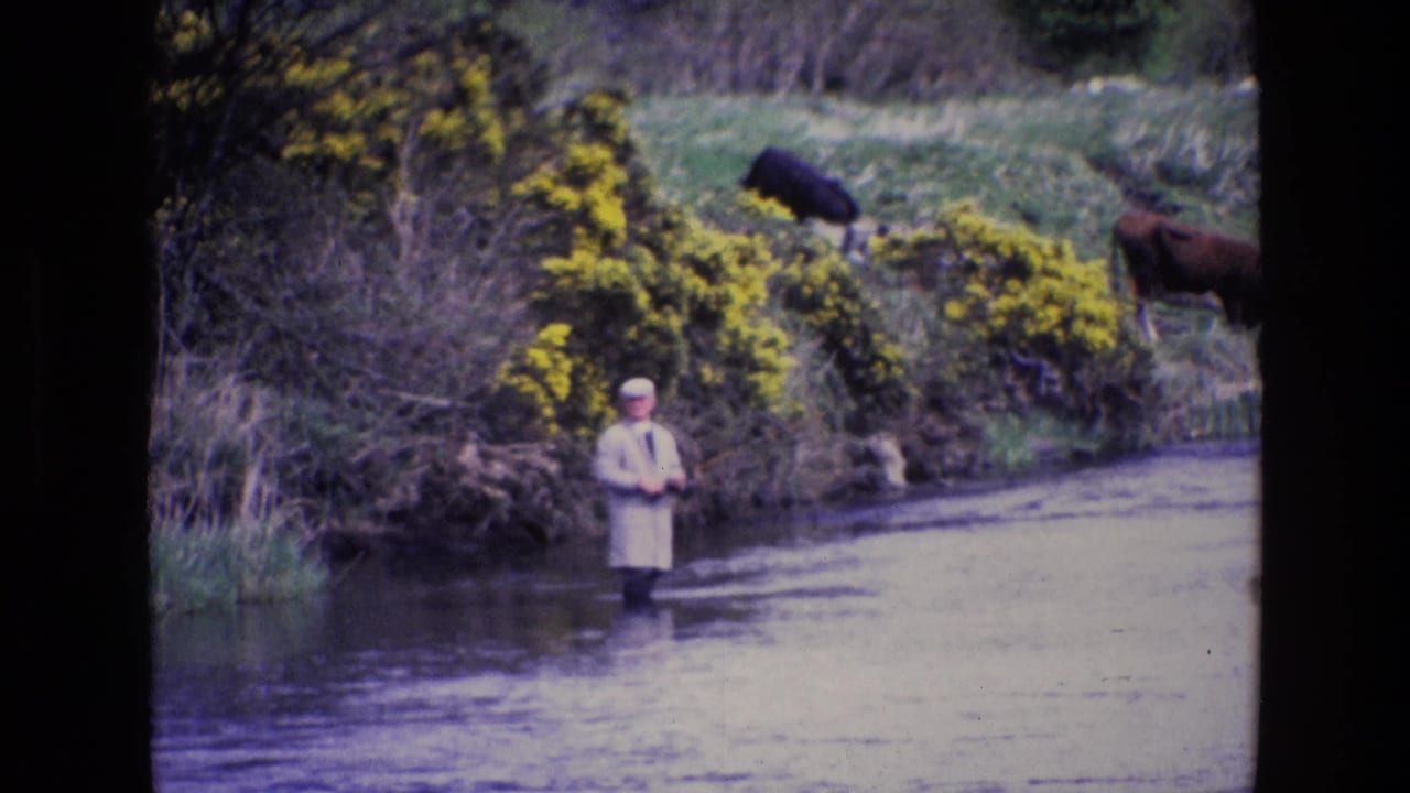 Man in a light coat stands knee-deep in a river with cows on the bank behind him.