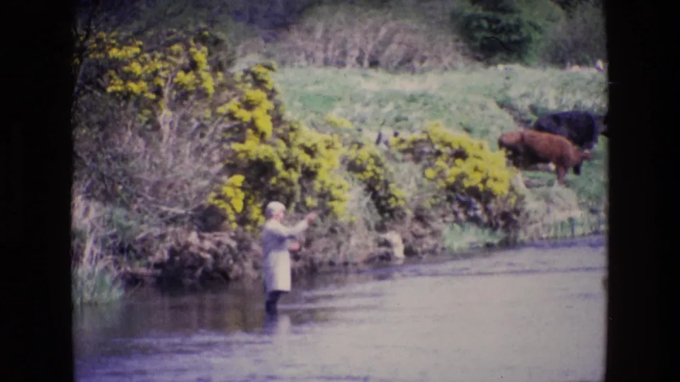 A 1969 Ireland home-movie frame shows the fisherman lifting his arm or line in the river as cattle graze behind him.