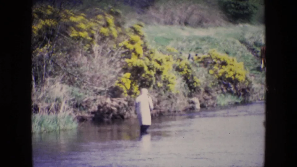 Ireland, 1969: a light-coated person stands in the river beside a brushy bank, with yellow gorse and pasture rising behind.