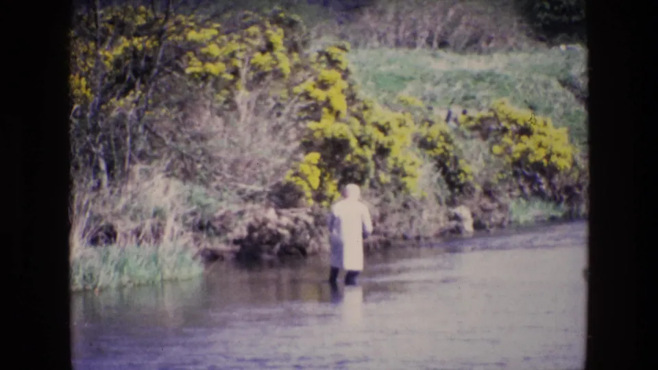 Ireland, 1969: the person stands waist-deep near reeds and gorse, with a grassy hillside and brush beyond the riverbank.