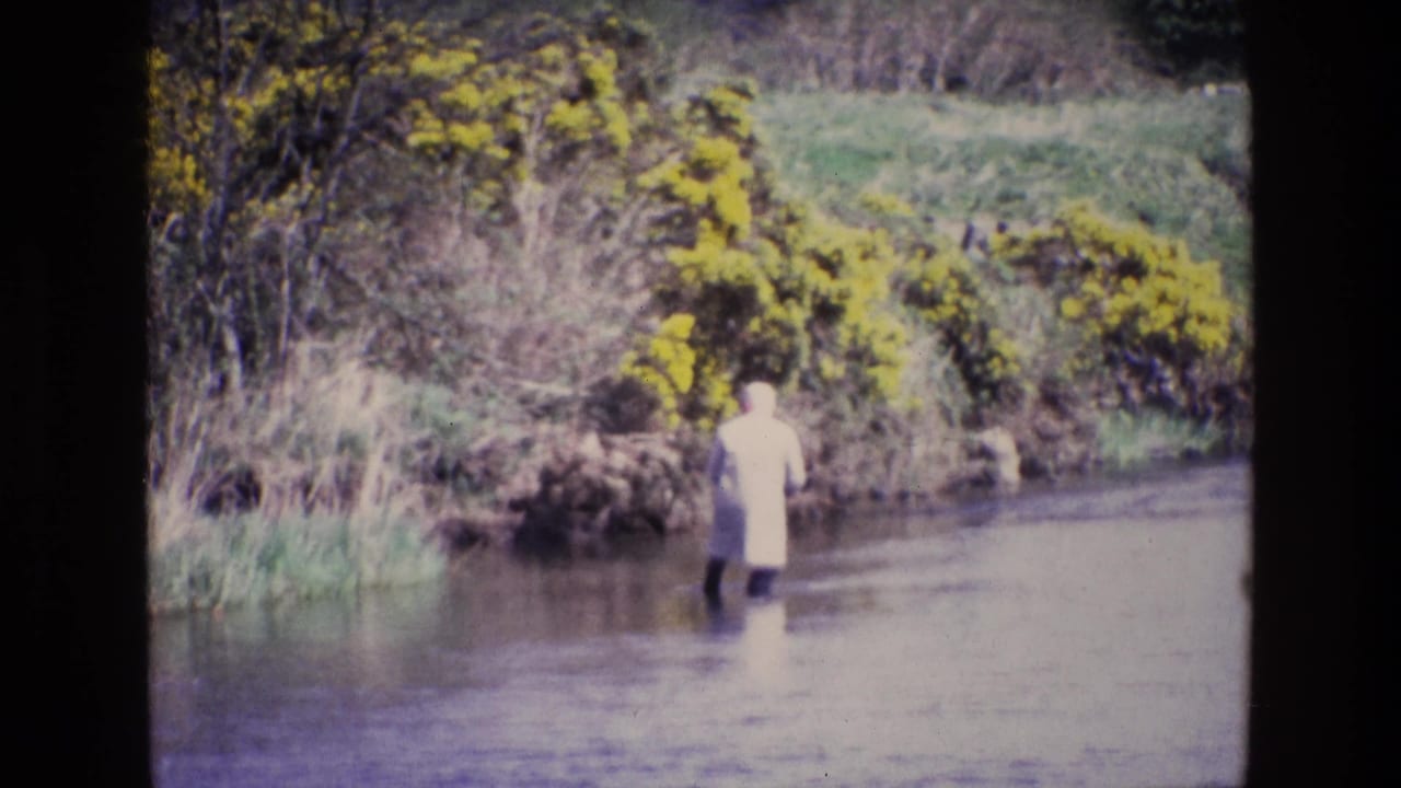 In 1969 Ireland, a person in a pale coat and dark boots stands in a shallow river beside yellow flowering bushes and reeds.