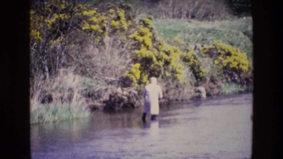 In 1969 Ireland, a person in a pale coat and dark boots stands in a shallow river beside yellow flowering bushes and reeds.