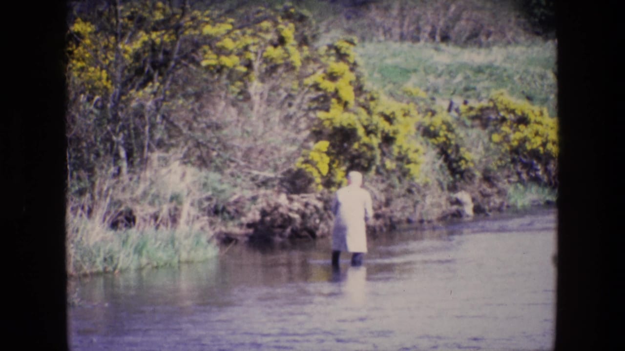 Person wades through shallow water with a brushy bank and yellow bushes behind them.