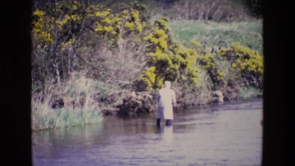 A distant figure in a pale coat wades through a shallow Irish river, framed by reeds, grass, and yellow bushes.