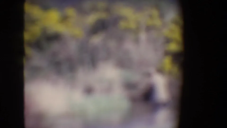 A heavily soft-focused final frame appears to show the riverbank and a faint figure near the water in the same 1969 Ireland scene.