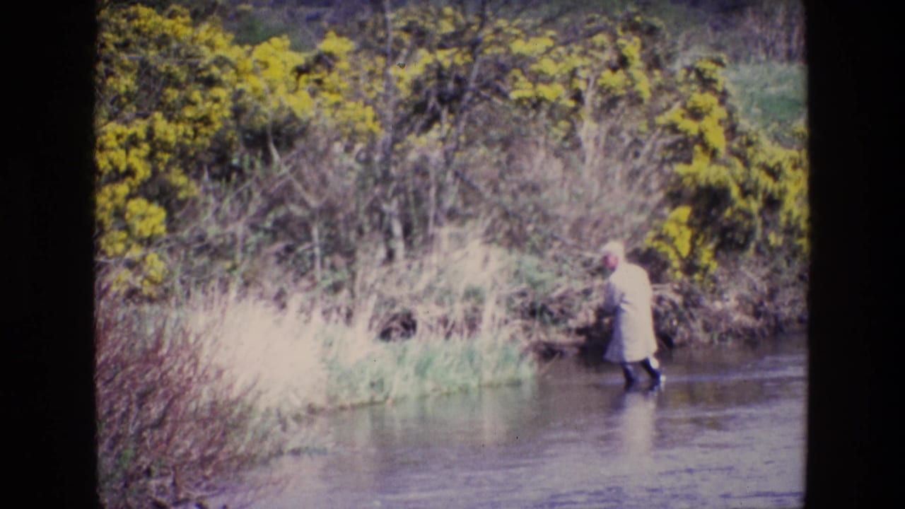 In 1969 Ireland, an adult in a pale jacket and dark wading boots moves through shallow river water near yellow gorse and reeds.